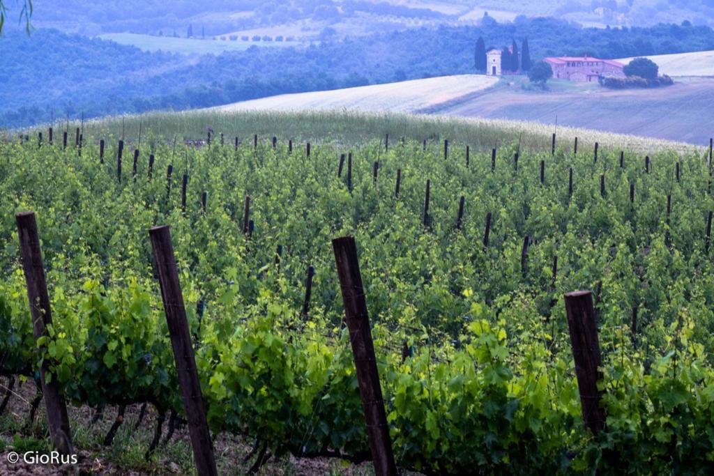 Agriturismo La Buca Di Bellugi San Quirico dʼOrcia Εξωτερικό φωτογραφία