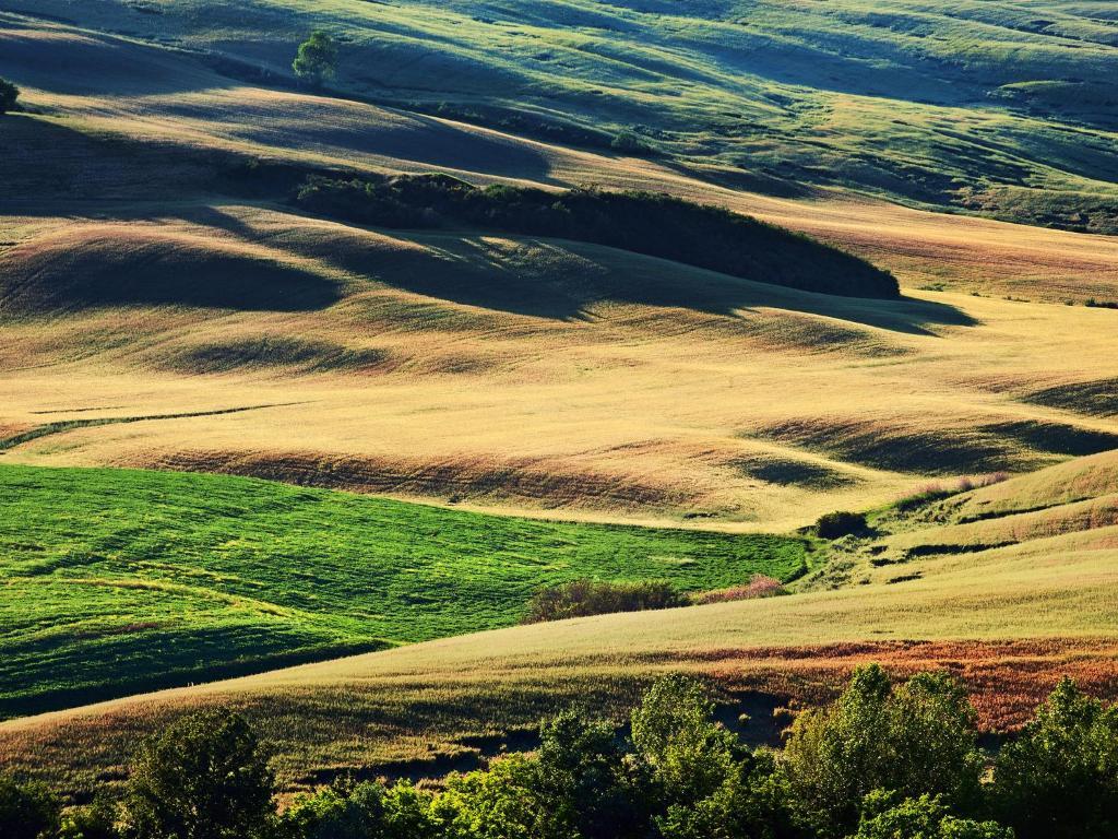 Agriturismo La Buca Di Bellugi San Quirico dʼOrcia Εξωτερικό φωτογραφία